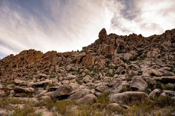 Roca Llenó Grapevine Hills Parque Nacional Big Bend — Foto de Stock