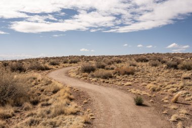 Wide Gravel Path of Tawa Trail In Petrified Forest National Park clipart