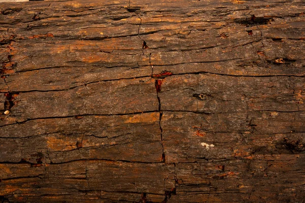 Sprucken Textur Förstenat Trä — Stockfoto