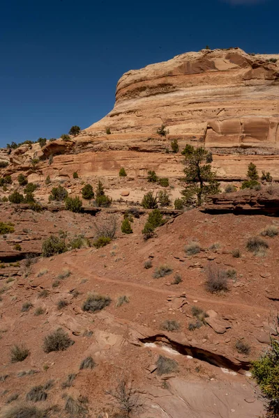 Üres Útvonal Nyaki Tavaszi Ösvényen Canyonlands Nemzeti Parkban — Stock Fotó