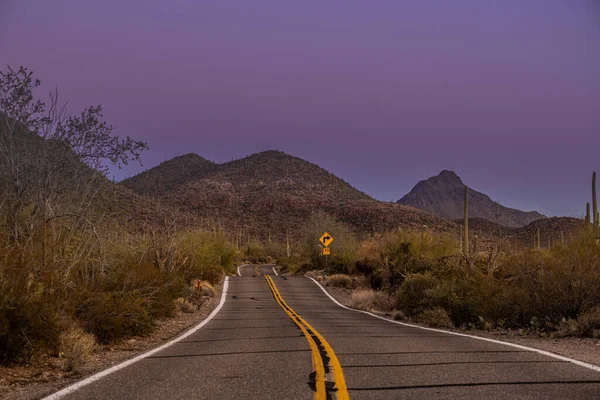 Saguaro Ulusal Parkı Ndan Geçen Hilly Yolu Batı Bölgesinde Sunset — Stok fotoğraf