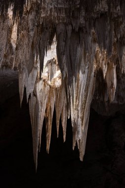 Işıklar Carlsbad mağaralarının avizesinin merkezini aydınlatıyor.