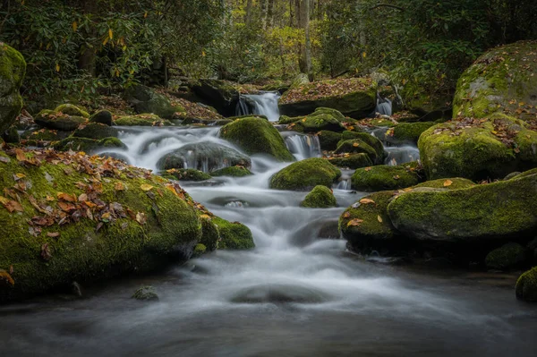 Niedriger Winkel Des Wassers Das Great Smoky Mountains Nationalpark Moosbewachsene — Stockfoto