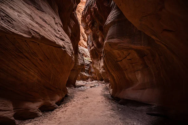 Overhaning Rock Walls Creëer Een Smalle Slot Canyon Door Buckskin — Stockfoto