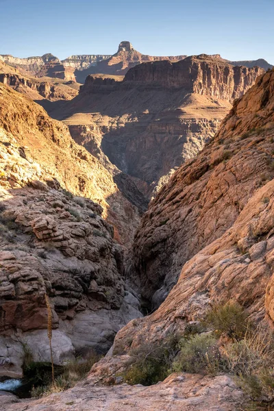 Pipe Creek Dirige Por Estrecho Cañón Ranura Río Colorado Continuación — Foto de Stock