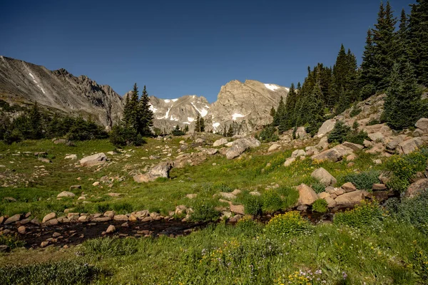 Rocky Mountains Thronen Über Alpine Meadows Der Wildnis Der Indian — Stockfoto