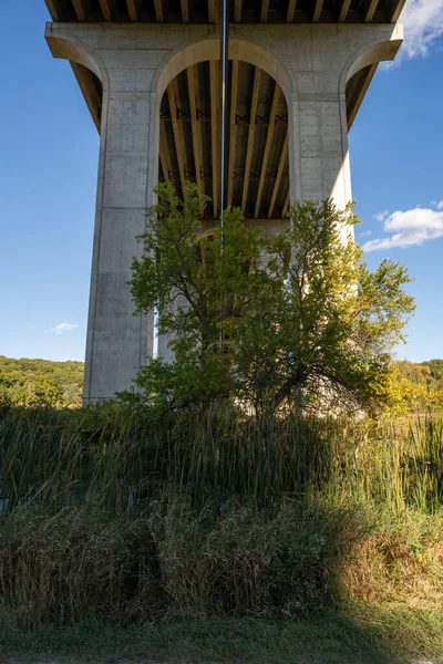 Small Tree Grows Bridge Towpath Cuyahoga Valley National Park — Stock Photo, Image