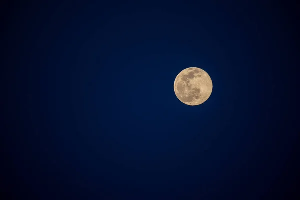 Pełnia Księżyca Głębokim Błękitnym Niebie Parku Narodowym Joshua Tree — Zdjęcie stockowe