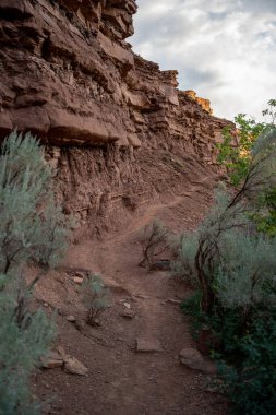 Capitol Resifi Ulusal Parkı 'ndaki Kayalık Kenarı boyunca Bilge Fırça Kanatları Yolu