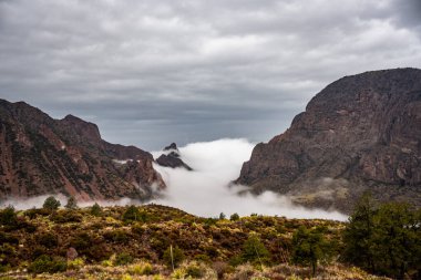 Big Bend Ulusal Parkı 'nın Chisos Dağları' nda Sisle Dolu Pencere