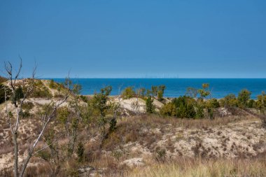 Indiana Dunes Ulusal Parkı 'ndaki kum tepelerini aştıktan sonra Michigan Gölü manzarası