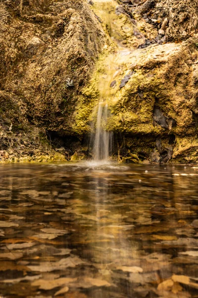 Tiny Waterfall Häller Poolen Smith Spring Guadalupe Mountains Nationalpark — Stockfoto