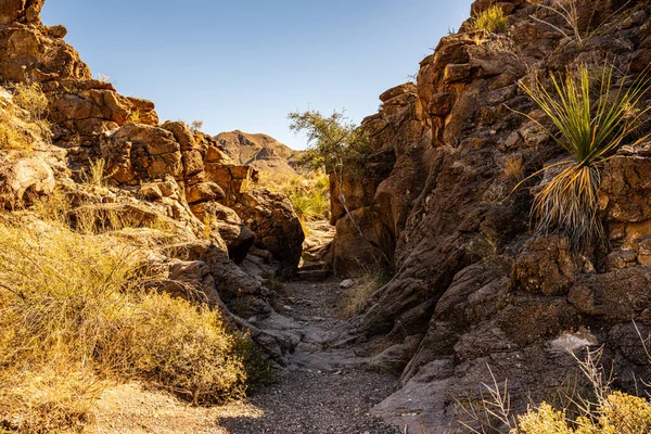 Sendero Que Corta Través Paredes Acantilados Rocosos Parque Nacional Big — Foto de Stock