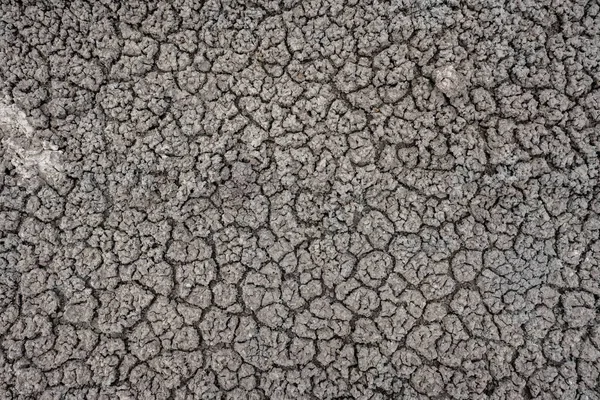 Crumbly Desert Floor Háttér Kép Capitol Reef Nemzeti Park — Stock Fotó