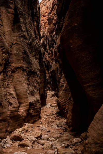 Каньйон Dark Narrow Boulders Strewn Floor Південній Юті — стокове фото