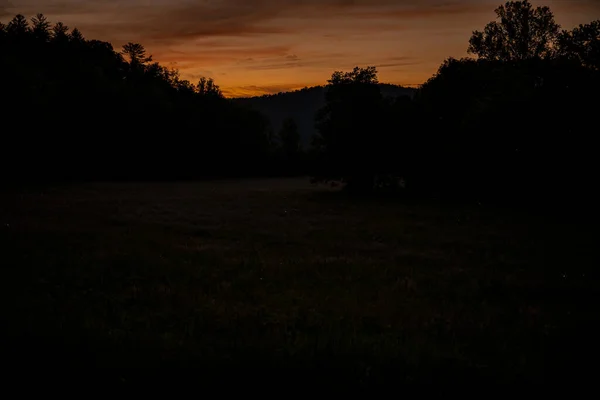 Pirilampos Acendem Campo Cades Cove Pôr Sol Great Smoky Mountains — Fotografia de Stock