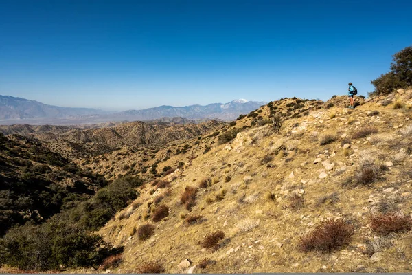 Senderista Mirando Hacia Pico Onyx Parque Nacional Joshua Tree — Foto de Stock