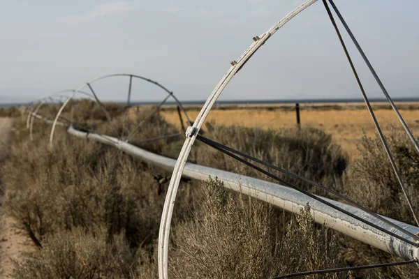 Gammalt Bevattningssystem Instängd Weeds Utanför Great Basin National Park — Stockfoto