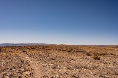 Carlsbad Mağaraları Ulusal Parkı 'ndaki Zeminin üzerindeki Seyrek Yol