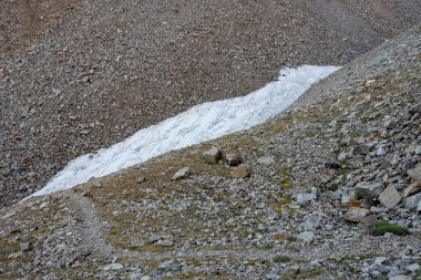 Büyük Havza Ulusal Parkı 'nın Kayalık Buzul Bölgesi' nde Yol