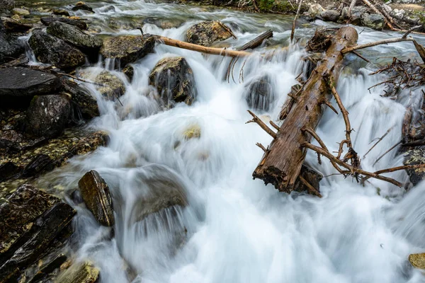 Stromový Kmen Zaklíněný Skalách Jako Vodní Příval Kaňonem Štětce Národním — Stock fotografie