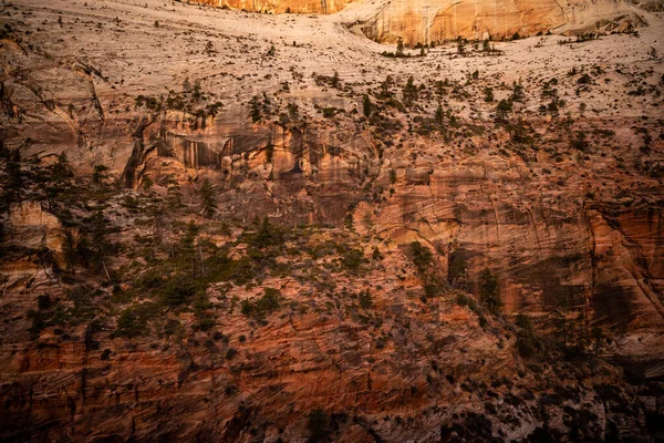 Wall Texture Van Zion Canyon Langs Het Oppervlak Van Klif — Stockfoto
