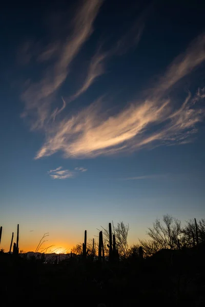 Felhők Drámai Suttogása Naplemente Kaktusz Fölött Silhouettes Saguaro Nemzeti Parkban — Stock Fotó