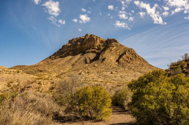 Big Bend Ulusal Parkı 'ndaki Hurma Geçidi' nin Üzerinde Dağ