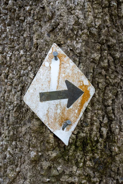 Right Arrow on Blaze and Tree Bark along hiking trail