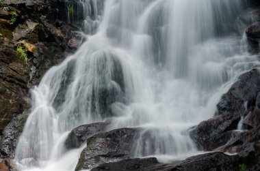 amicalola falls yakın çekim