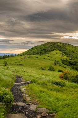 Appalachian jane kel artan iz
