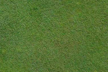 Yakın kadar yeşil golf