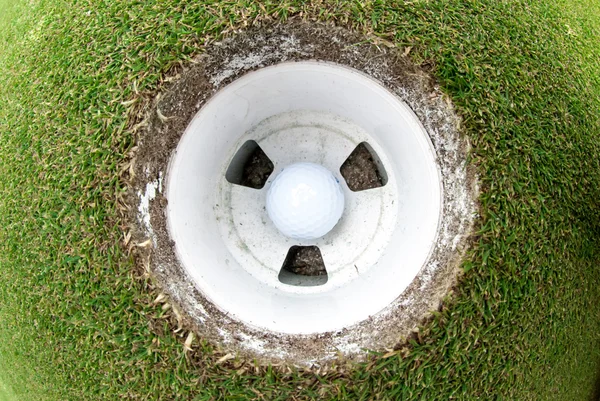 Golf Ball in the hole — Stock Photo, Image