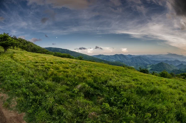 Gräsbevuxna fält i roan berget höglandet — Stockfoto
