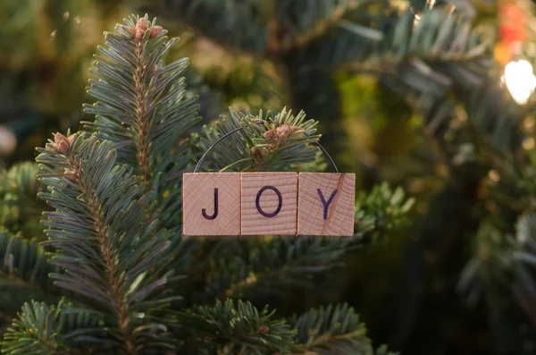 Alegria ornamento de Natal — Fotografia de Stock