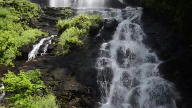 amicalola ana falls döngü düşüyor