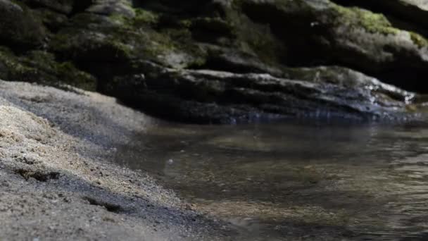 Olas en la orilla — Vídeos de Stock