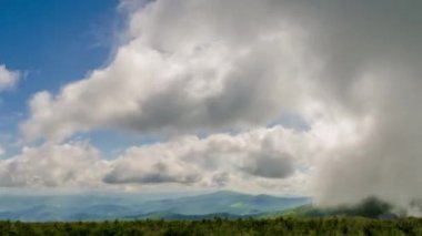 TL oymacılar gap cu