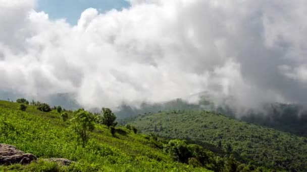 TL Art Loeb Trail Guardando East Blue Ridge Parkway — Video Stock