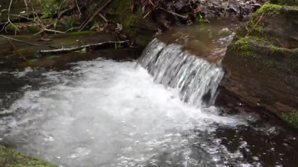 Pequeno laço de cachoeira — Vídeo de Stock