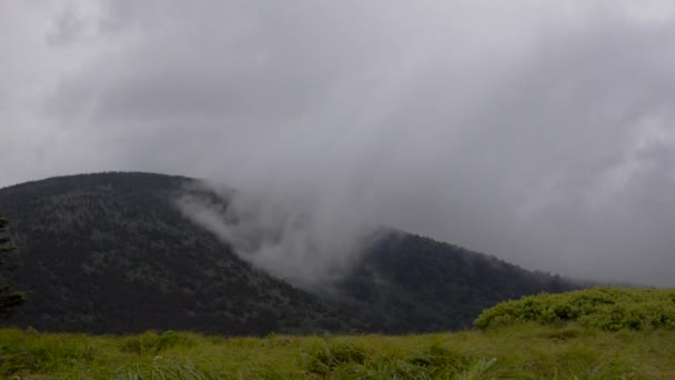 Chmury przechodziły roan mountain przyspieszyło 1000 — Wideo stockowe