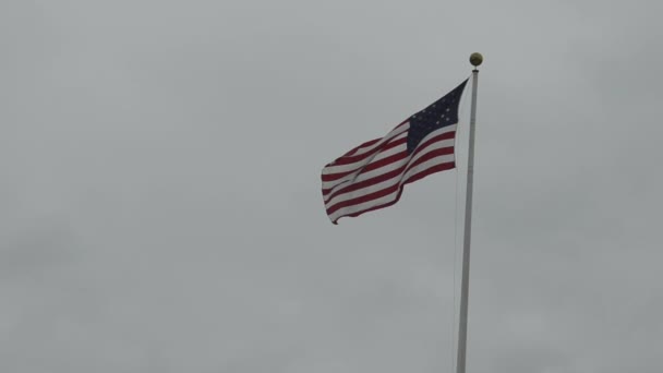 Flag on Cloudy Day — Stock Video