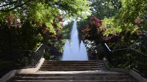 Escaleras de fuente — Vídeo de stock