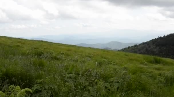 Graminées Souffler avec des montagnes au loin — Video