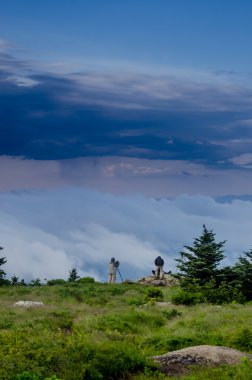 Photographers in the Roan Mountain Highlands clipart