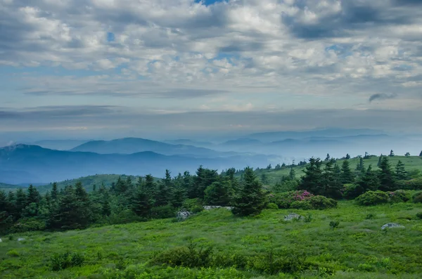 Mint láttuk, a füves ridge ködös hegyvidéki — Stock Fotó