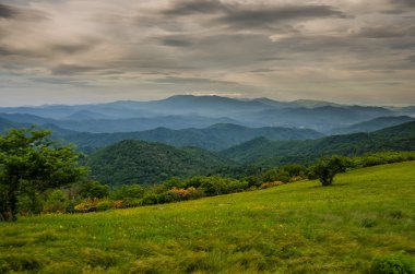 alev açelya çiçek önünde blue ridge Dağları
