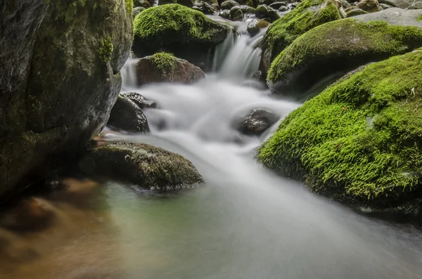 Kleiner Wasserfall und Moos — Stockfoto