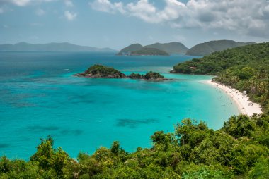 Trunk Bay in St. John During the Day clipart