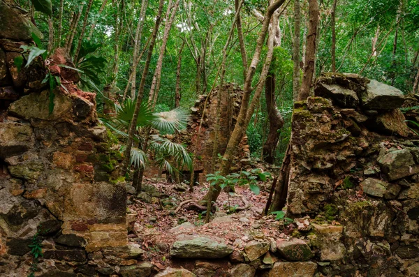 Sugar Plantation Ruins in Jungle — Stock Photo, Image